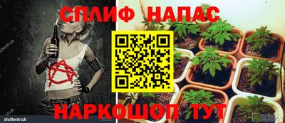 дмт Шахты