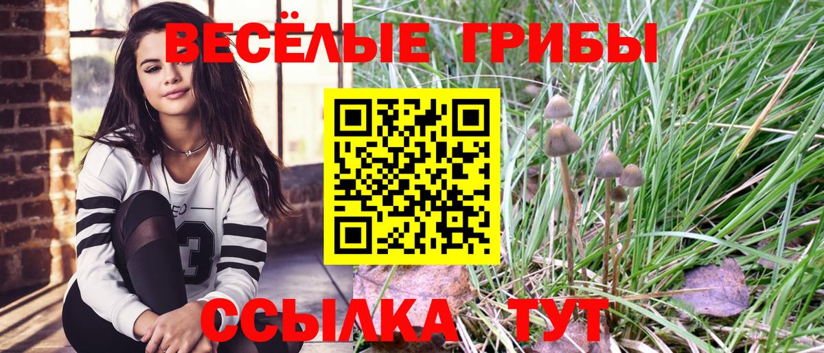 Псилоцибиновые грибы прущие грибы  Вход с VPN  Углич  Псилоцибиновые грибы Psilocybe 