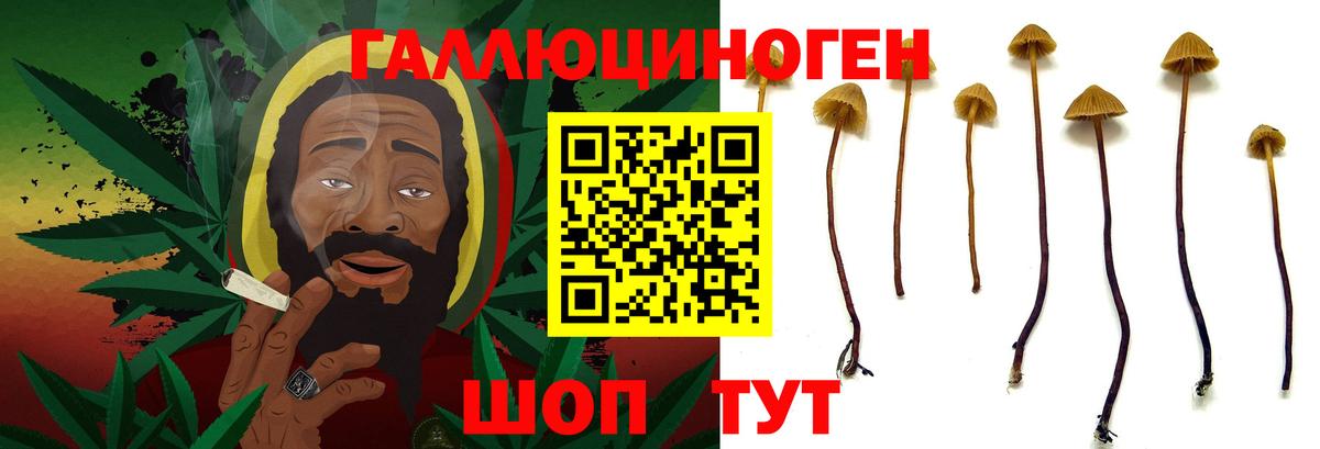 Галлюциногенные грибы GOLDEN TEACHER Углич